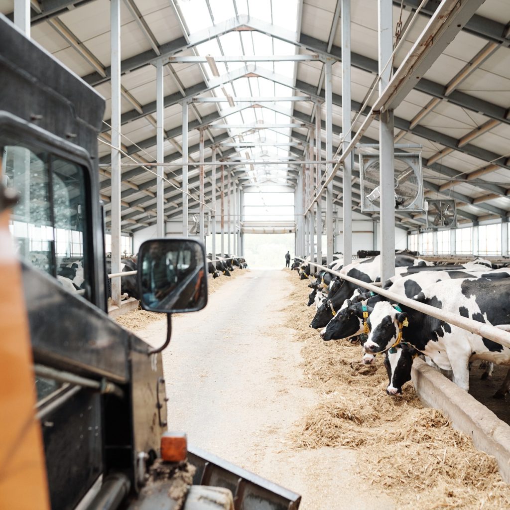 صنعت دامداری